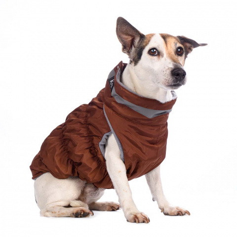 Куртка для собак на молнии коричневая французский бульдог 9