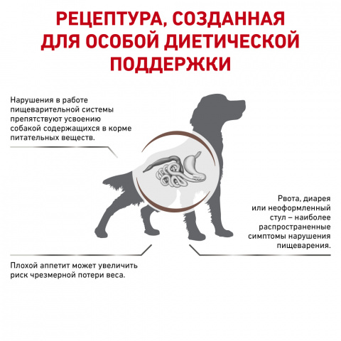 Gastrointestinal GI25 Сухой корм для собак при нарушении пищеварения, 2 кг 1