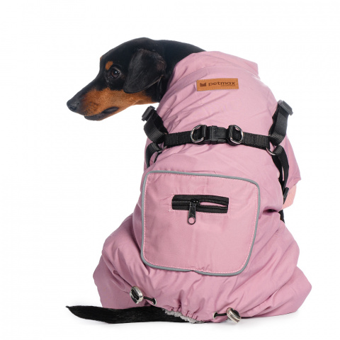 Комбинезон для собак со шлейкой фиолетовый девочка 2