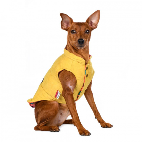Куртка двухсторонняя для собак M желтый (унисекс) 14