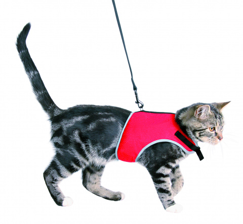 Шлейка мягкая с поводком для кошек, 24–42 см, 1,2 м, цвет Красный, цены,  купить в интернет-магазине Четыре Лапы с быстрой доставкой