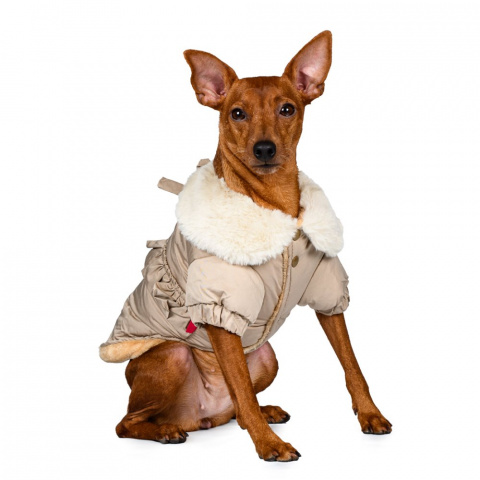 Куртка-плащ для собак S бежевый (унисекс)