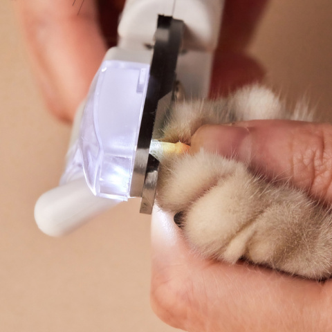 Когтерез для кошек и собак с LED фонарем, 21x5.8x3.3 см 2