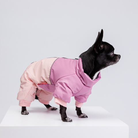 Комбинезон с диагональным замком для собак, XS, розовый (девочка), цвет  Розовый, цены, купить в интернет-магазине Четыре Лапы с быстрой доставкой