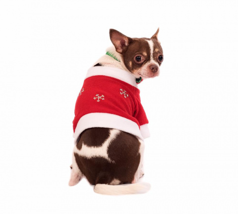 Пуловер для собак Дед Мороз S красный (унисекс) 1