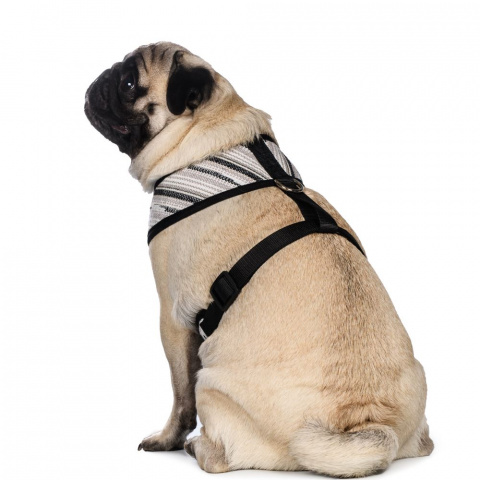 Шлейка для собак XL, серая, обхват груди: 58-78 см 5