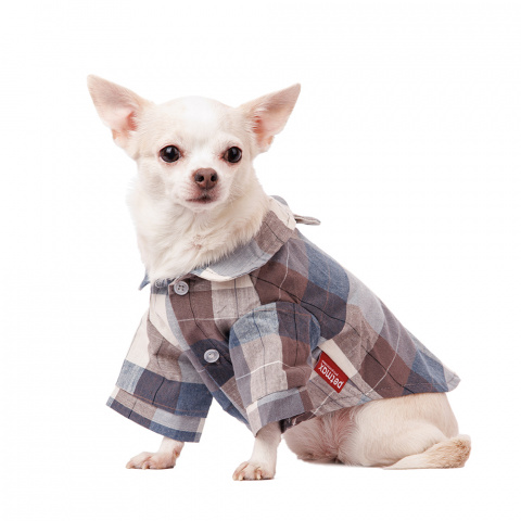 Рубашка с бантиком для собак XS голубой (унисекс) 1