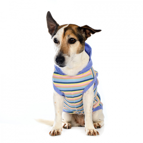 Футболка с капюшоном для собак XL голубой (унисекс)