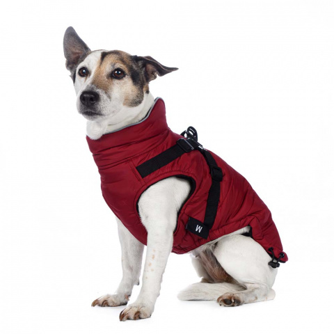 Попона теплая со шлейкой для собак средних пород Французский бульдог L бордовый (унисекс) 5