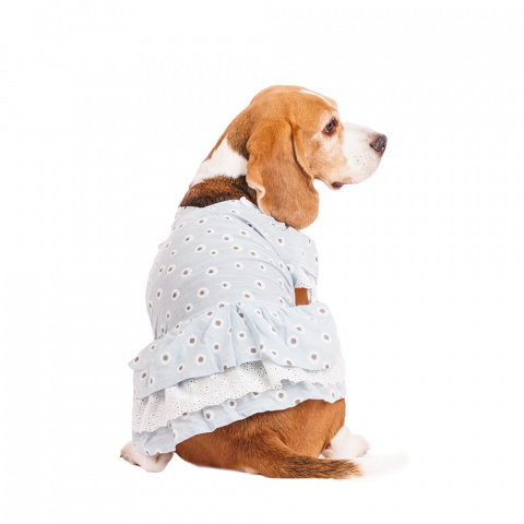 Платье для собак с ромашками 2XL голубой (девочка)