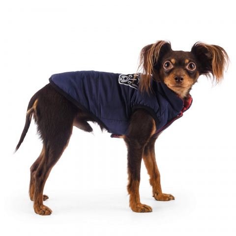 Куртка для собак S синий (унисекс) 1