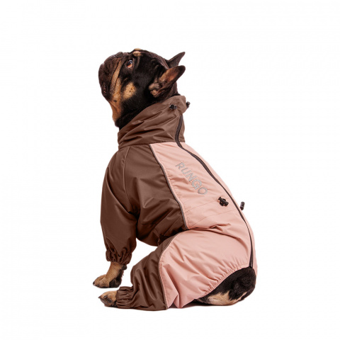 Дождевик для собак Французский бульдог мальчик капучино XL, 37x54x76 см