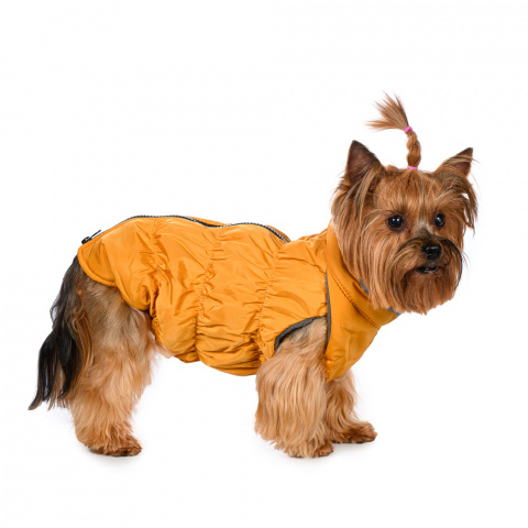 Куртка на молнии для собак M желтый (унисекс)