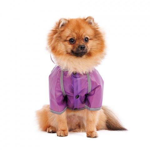 Дождевик для собак с капюшоном M фиолетовый (унисекс) 2
