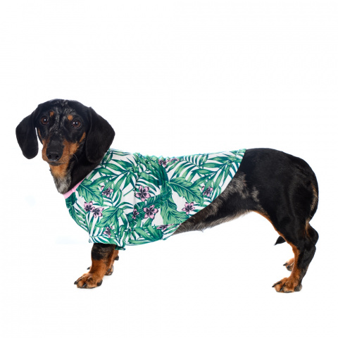 Рубашка для собак с листьями M зеленый (унисекс) 4