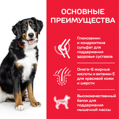 Science Plan Сухой корм для взрослых собак крупных пород для поддержания здоровья суставов и мышечной массы, с курицей, 12 кг 4