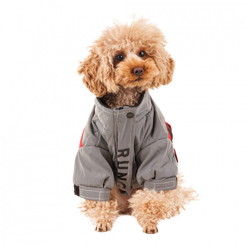 Куртка на молнии для собак средних пород Карликовый пинчер, Джек Рассел, Бигль 37x54x35см XL серый (унисекс) 4
