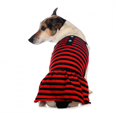 Платье M для собак в полоску красное 8