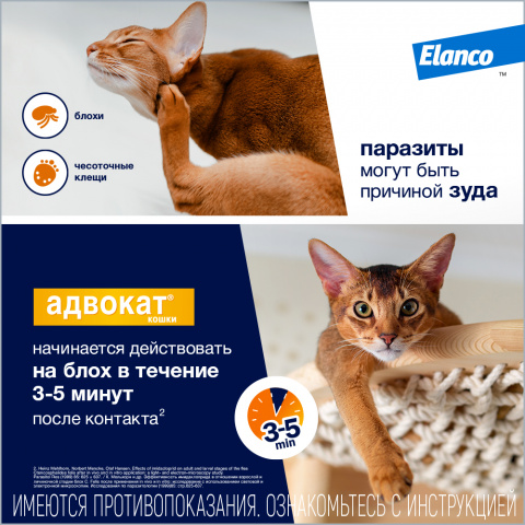 Адвокат Раствор для наружного применения для кошек массой до 4 кг, 0,4 мл,  1 пипетка в упаковке, цены, купить в интернет-магазине Четыре Лапы с  быстрой доставкой