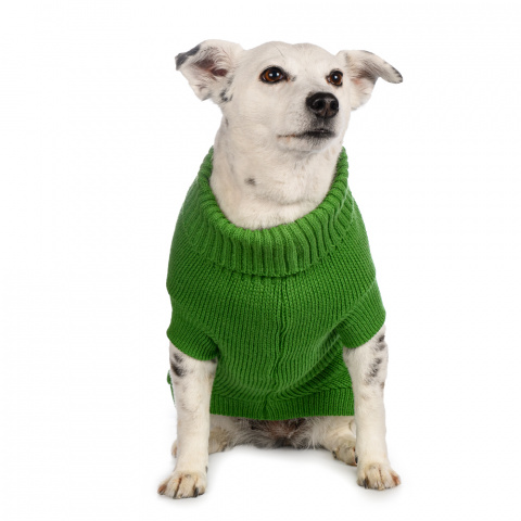 Свитер для собак 55см 4XL зеленый (унисекс) 1