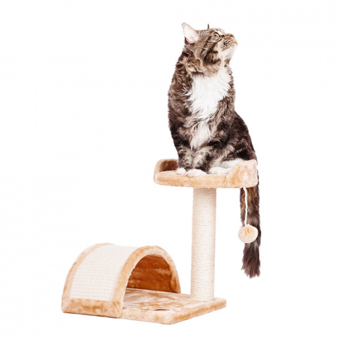 Дом-когтеточка для кошек AGOSTINO с лежанкой и игрушкой, бежевый, 35x35x43 см