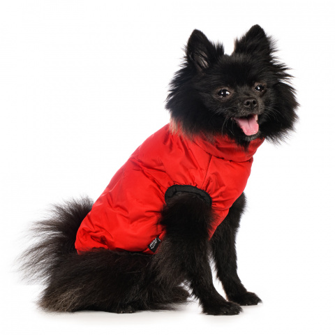 Куртка на молнии для собак S красный (унисекс)