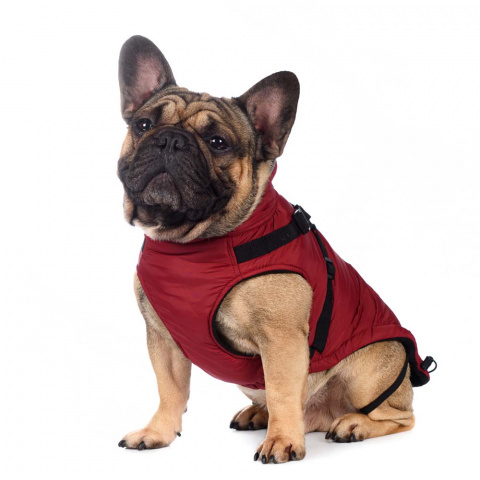 Попона теплая со шлейкой для собак средних пород Французский бульдог L бордовый (унисекс) 2