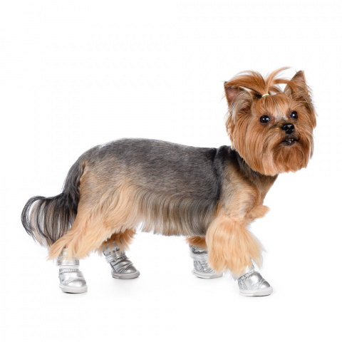 Ботинки-дутики для собак L серебряный (унисекс)