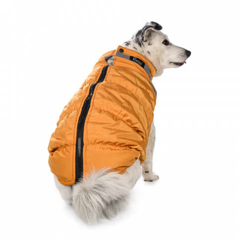 Куртка на молнии для собак 2XL желтый (унисекс) 2