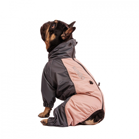 Дождевик для собак Французский бульдог девочка капучино XL, 35x44x68 см