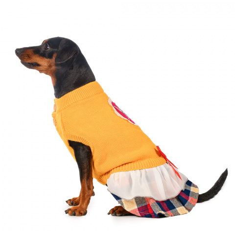 Платье-свитер для кошек и собак L желтый (унисекс)