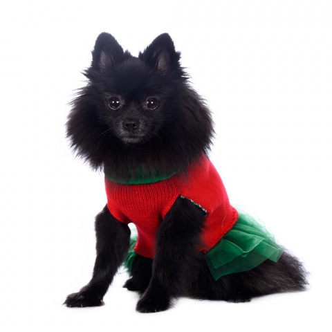 Свитер для собак с пачкой красно-зеленый XL 4