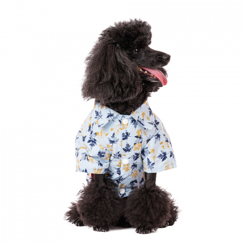 Рубашка для собак M голубой (унисекс) 2