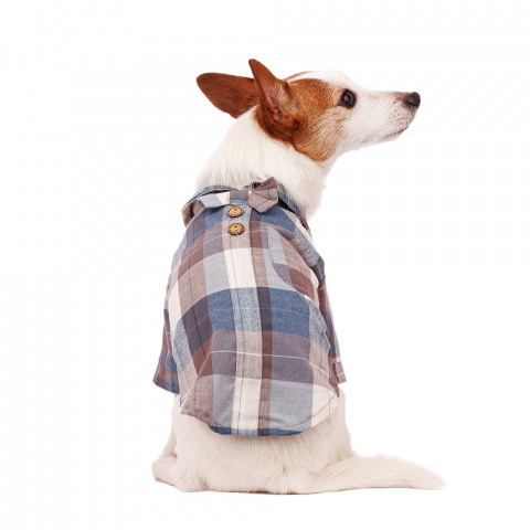 Рубашка с бантиком для собак L голубой (унисекс) 2