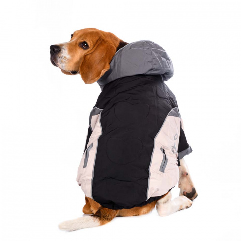 Куртка с капюшоном на молнии для собак мелких пород Джек Рассел, Карликовый пинчер, Бигль 29x42x27см M серый (унисекс) 4