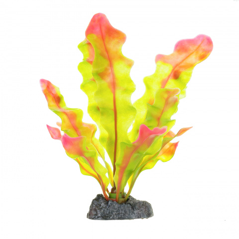 Растение FLOWERING CRYPT 20см с грузом красно-зеленое