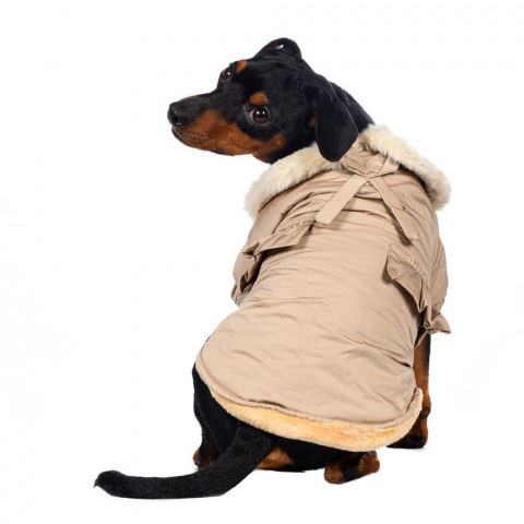 Куртка-плащ для собак 2XL бежевый (унисекс) 8