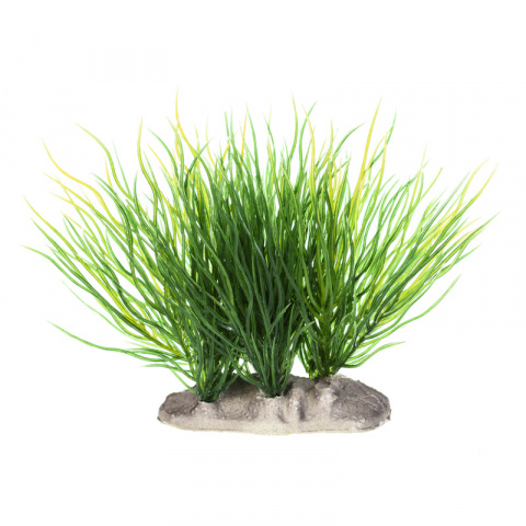 Растение композиция зеленая трава 10-12см