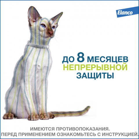 Форесто Ошейник для кошек от блох и клещей, 38 см 6