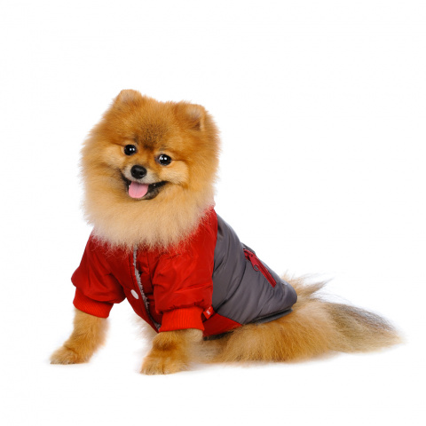 Куртка для собак бордовая 2