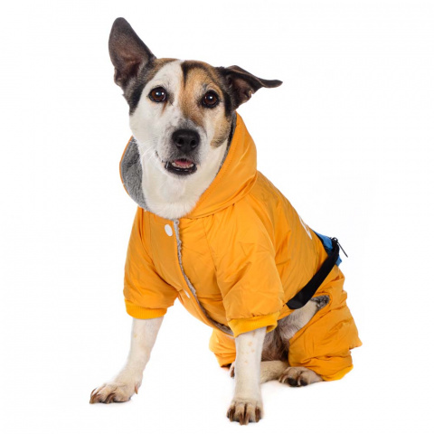 Комбинезон с сумочкой для собак XL желтый (унисекс) 6