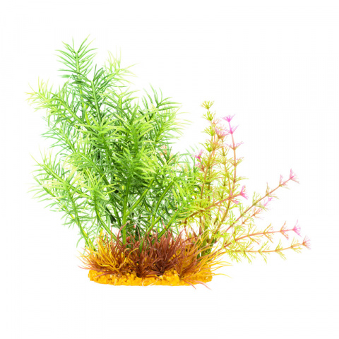 Растение композиция зелено-салатовое 15см