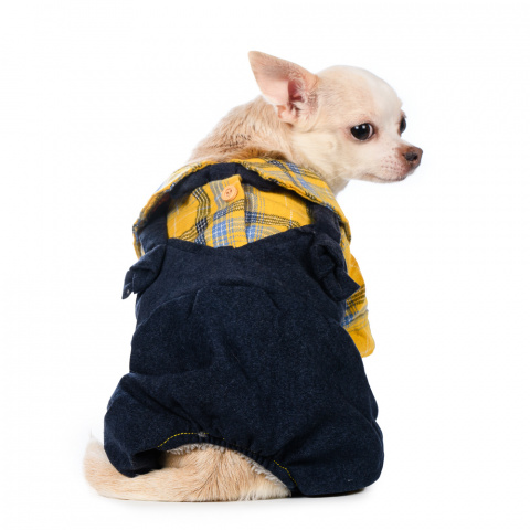 Костюм с рубашкой для собак XS желтый (унисекс) 1