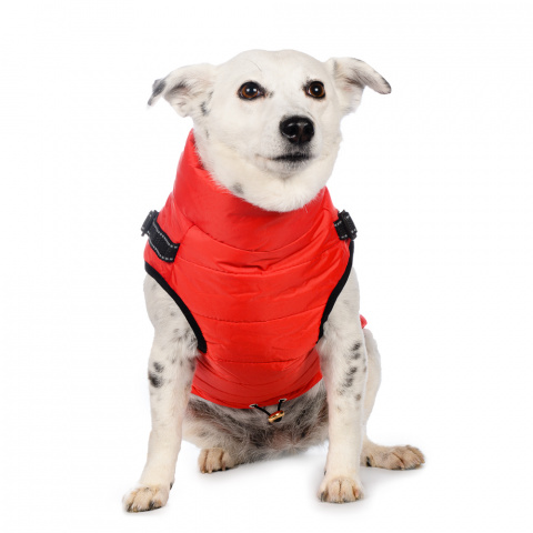 Куртка со шлейкой для собак 2XL красный (унисекс) 1