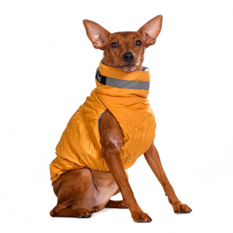 Куртка на молнии для собак XL желтый (унисекс) 4