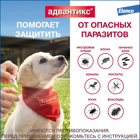 Адвантикс капли на холку для собак весом от 4 до 10 кг от блох, клещей и комаров, 1 пипетка, 1 мл 2