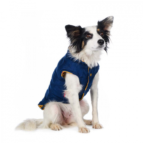 Куртка двухсторонняя для собак M синий (унисекс) 9