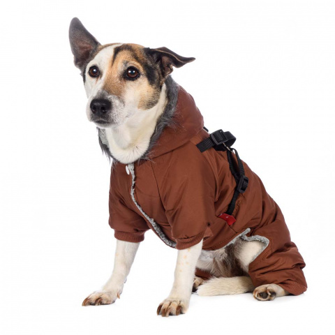 Комбинезон со шлейкой и капюшоном для собак XL коричневый (унисекс) 3