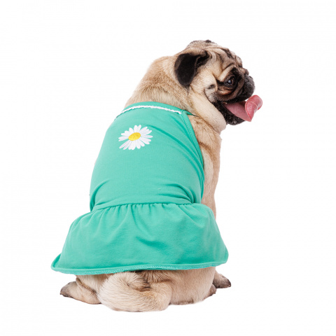 Платье для собак с ромашкой 2XL зеленый (девочка)