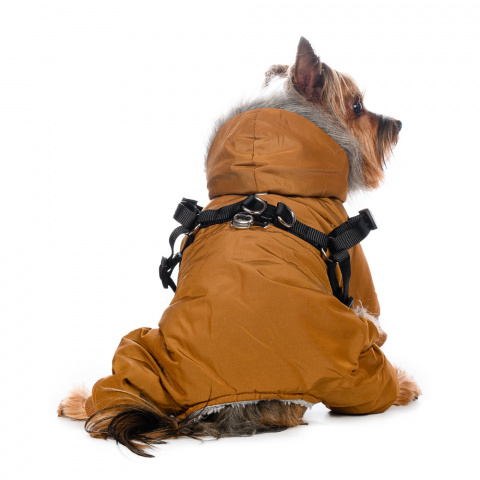 Комбинезон со шлейкой и капюшоном для собак XS бежевый (унисекс) 1